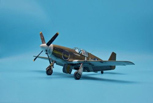 Pro built model p51 - built,